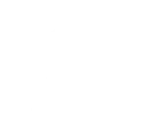 TurnDev Logo